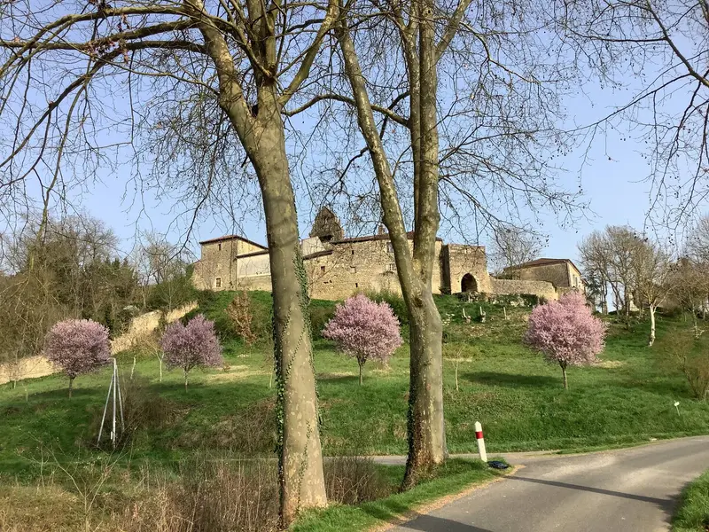 Le castelnau de Saint-Arailles au printemps, arbres en fleurs