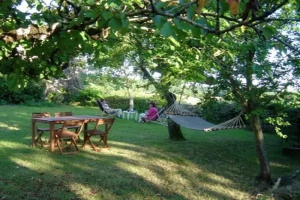Table en bois et hamac sous les arbres du jardin en été