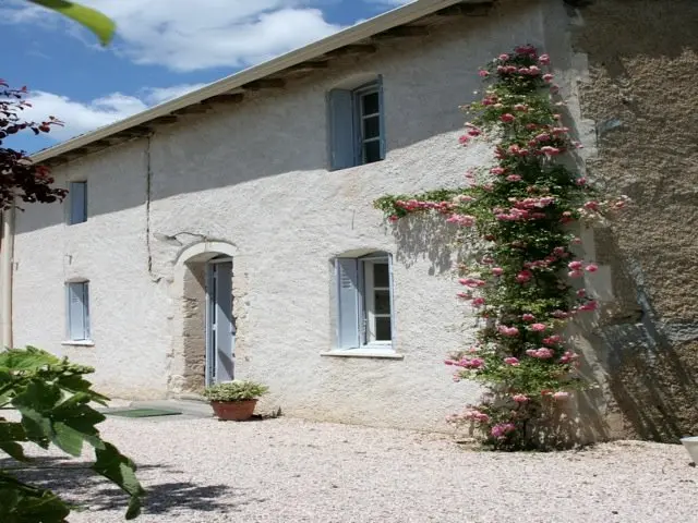 Façade claire de la maison avec un rosier grimpant en fleurs